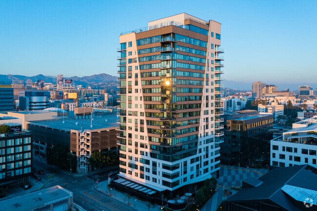 Primaria - Jardine Hollywood