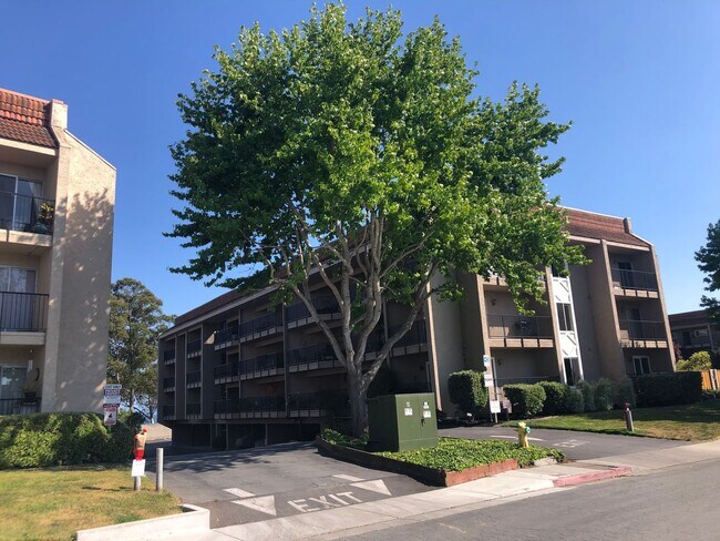 Building Photo - Capitola Unit 202