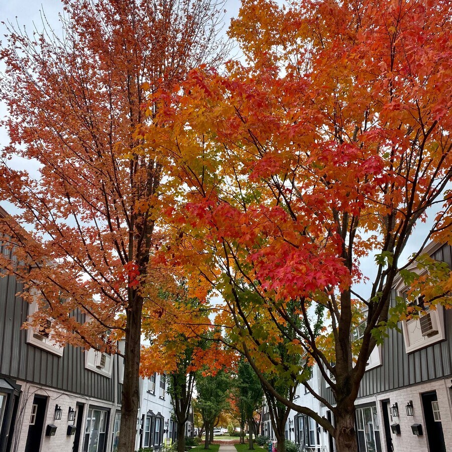 Photo - Park Townhomes of Highland Park
