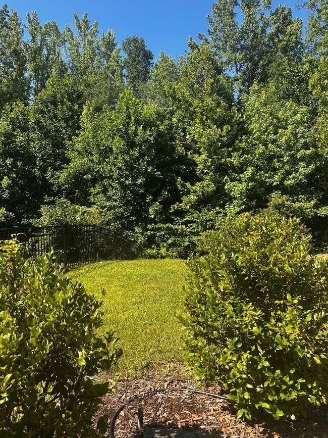 Photo - 3851 Longmore Ln