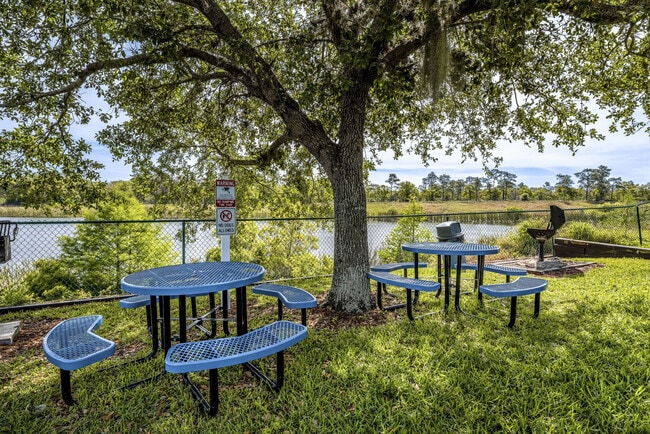 Citrus Vista