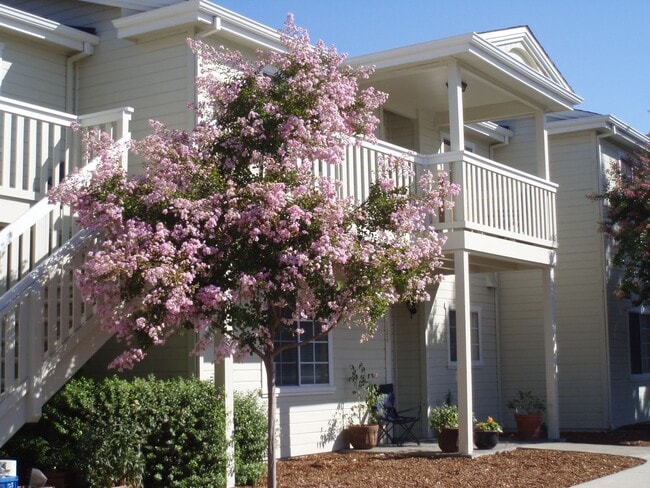 Photo - Beautiful Downstairs 2 Bedroom 2 Bath looking out to the Sonoma Creek!