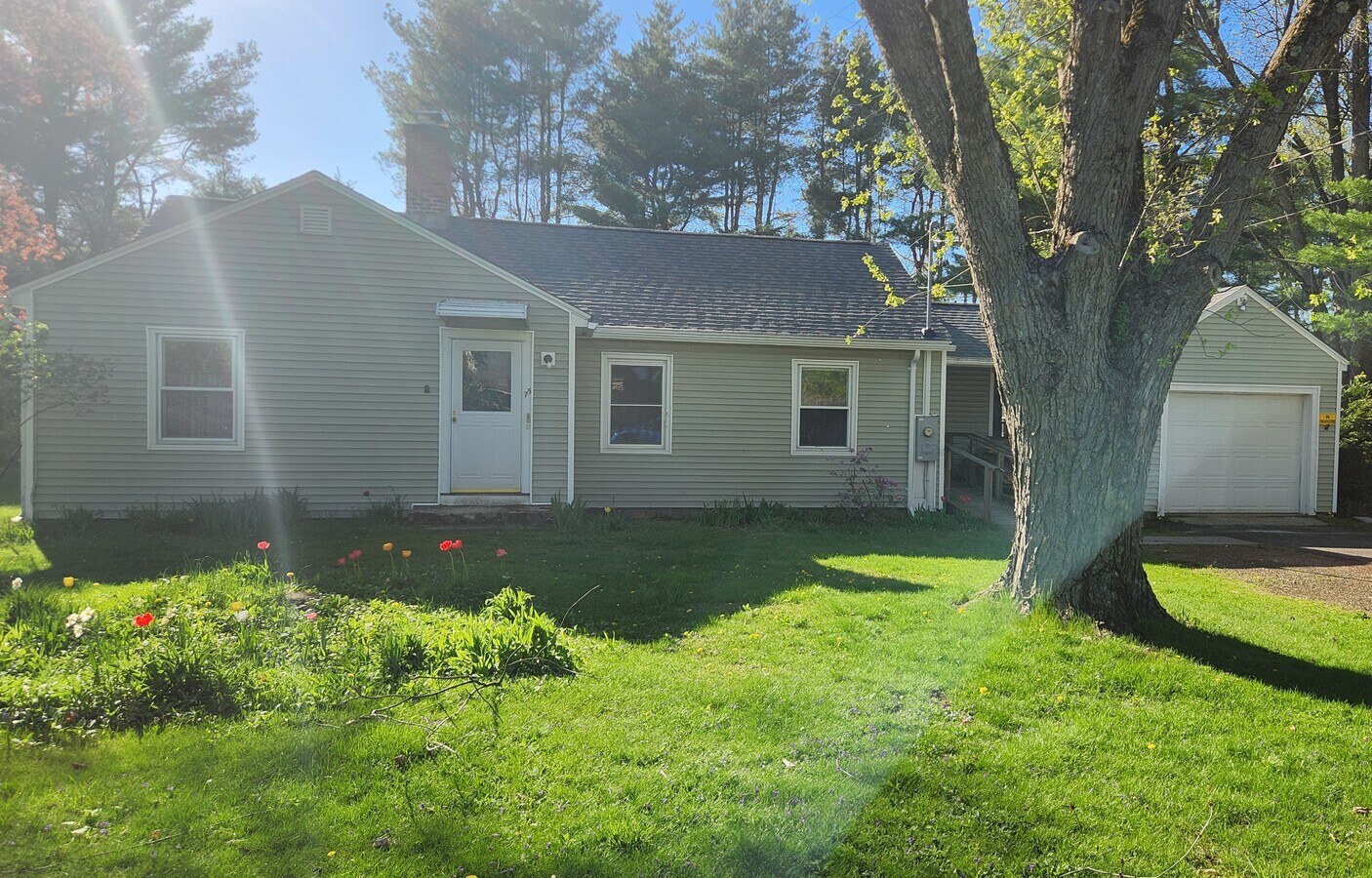 Front of house--more pics to follow - 75 Mechanic St House