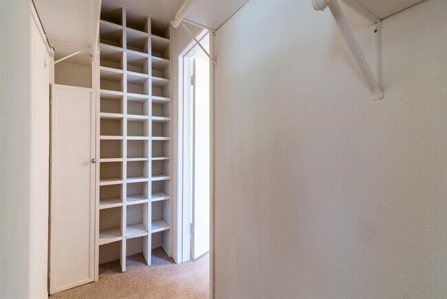 Photo - 20520 Youpon Ln
