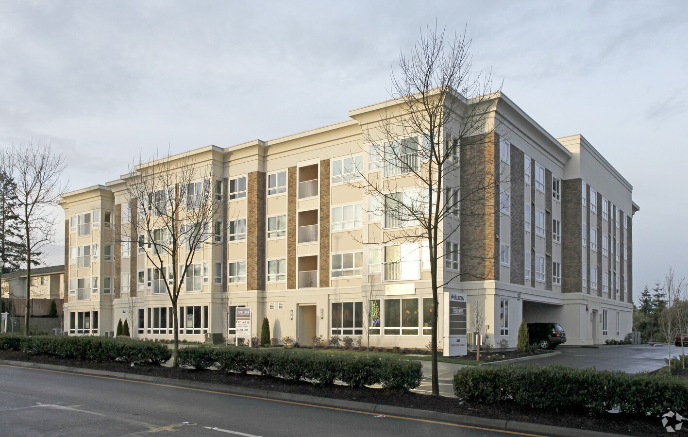 The Alicia Apartments For Rent In Tacoma Wa Forrent Com