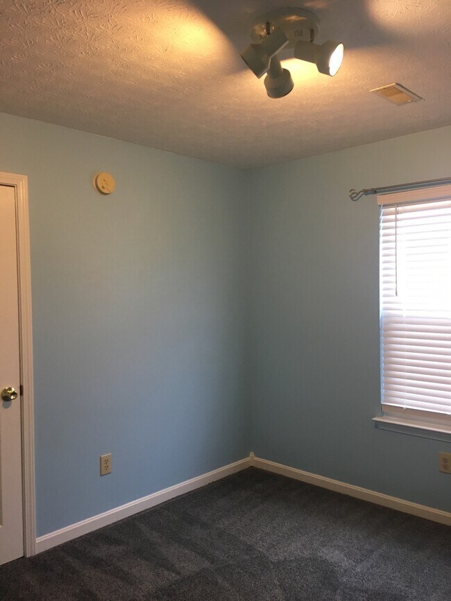 Photo - Just In Time For Christmas!