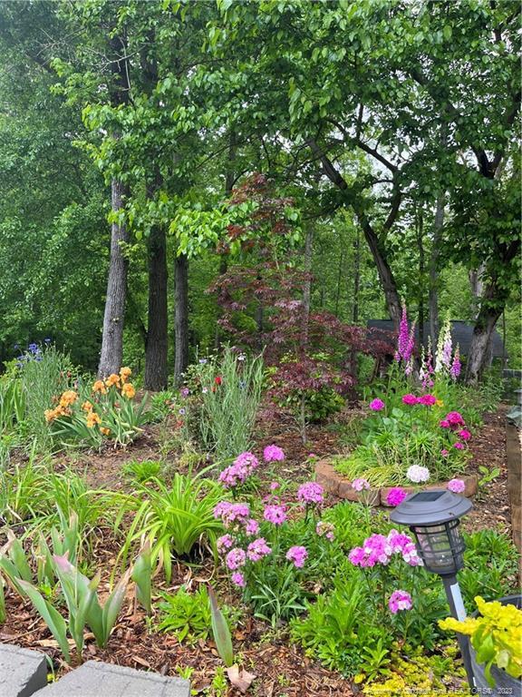 Photo - 233 Fairfax Dr