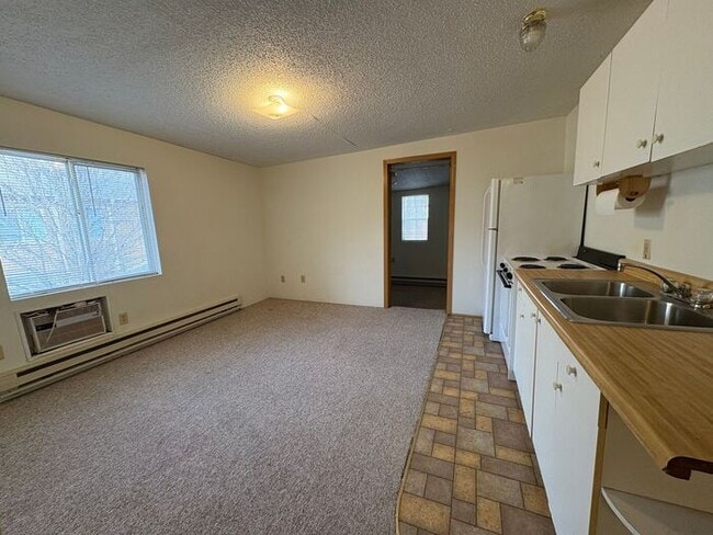Photo - $950 | 1 Bedroom, 1 Bathroom Apartment | Pet Friendly | Available for an Immediate Move In!