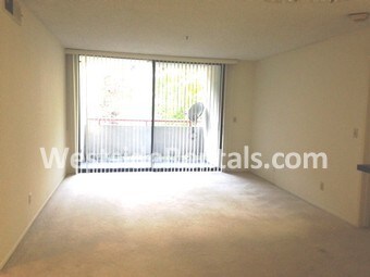 Photo - 222 S Central Ave Condo