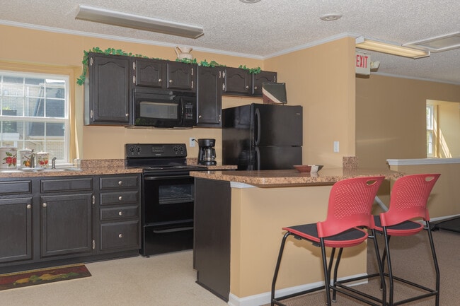 Photo - Shannon Glenn