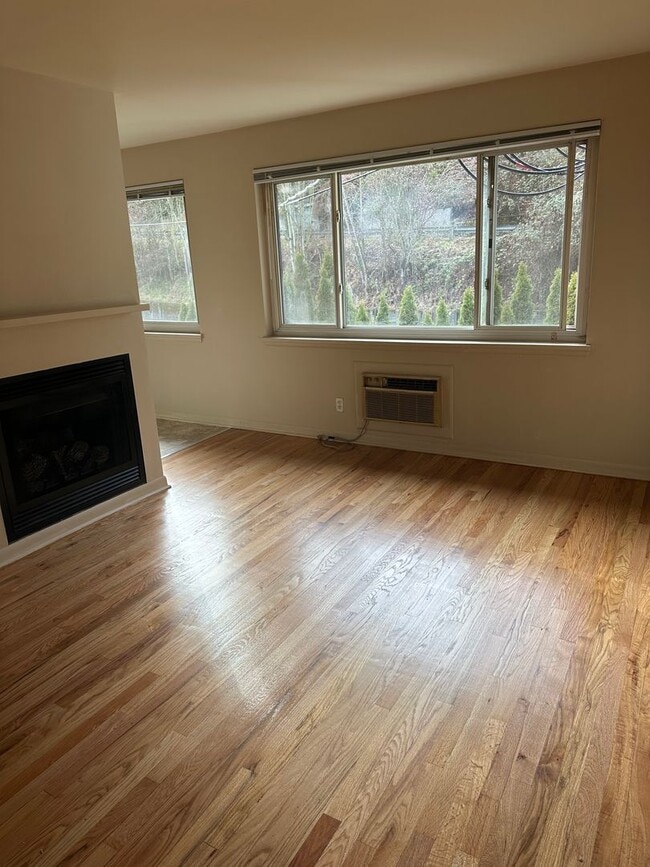 Photo - Blue Dolphin