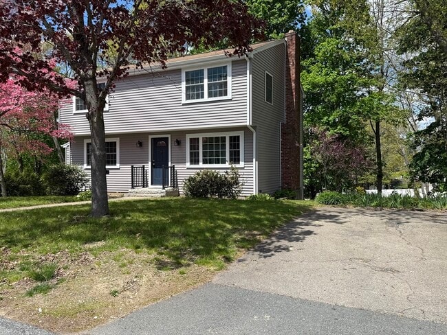 Photo - 19 Stubb St