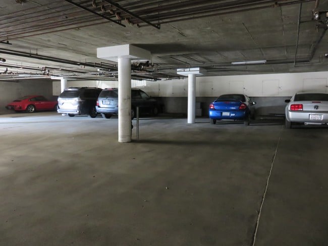Shelby Expo Apartments
