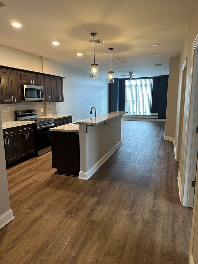 Kitchen and living area - 45 Ellicott St