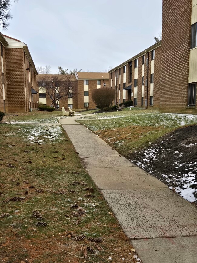 Building Photo - 9921 Bustleton Ave Unit R-10