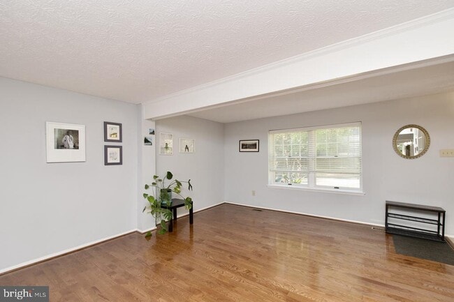 Photo - 11732 Mossy Creek Ln