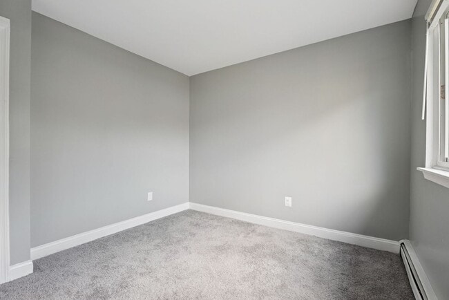 Photo - Blackwood Falls