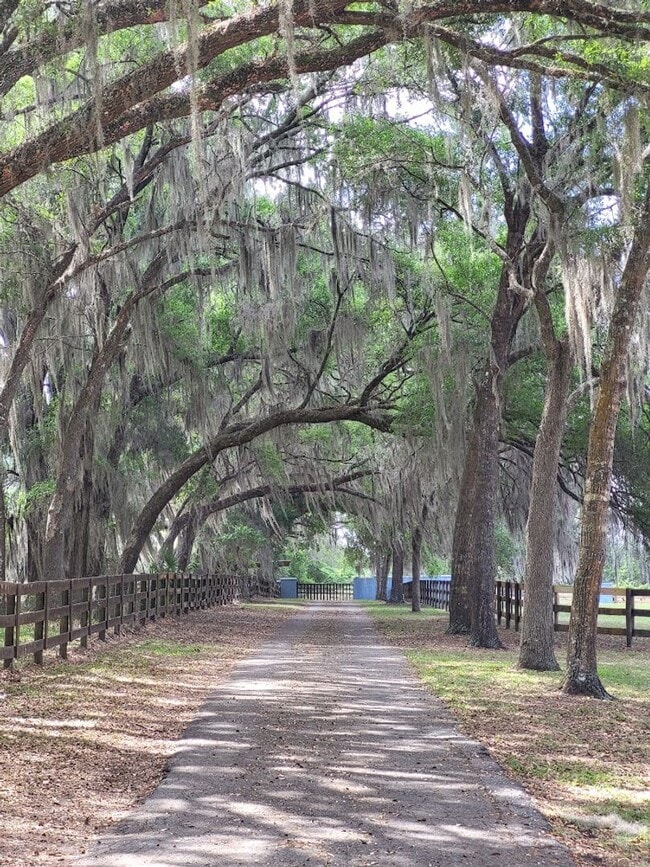 Photo - Little Lake Weir Waterfront FENCED 3BR/2BA on 6 Acres with Horse Barn, Private Boat Ramp & Dock
