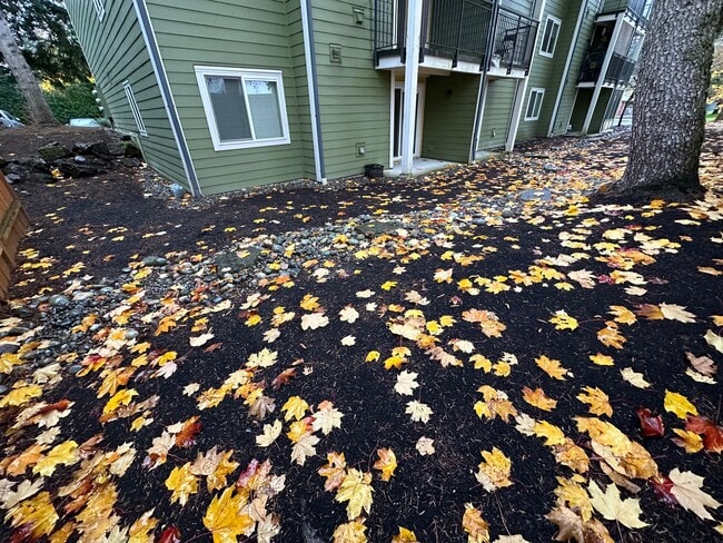 Photo - Charming 2-Bedroom, 1-Bathroom Condo in Prime Factoria Location