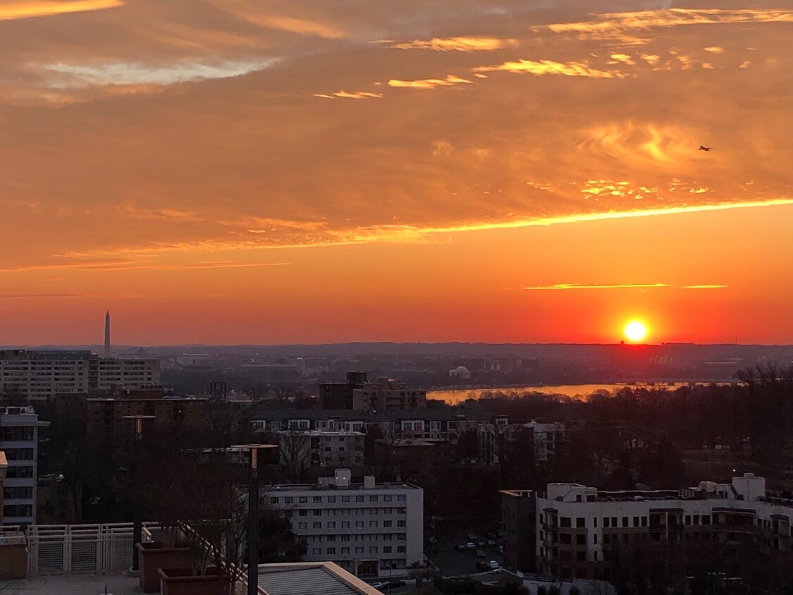 Photo - 1301 N Courthouse Rd (Arlington, VA)