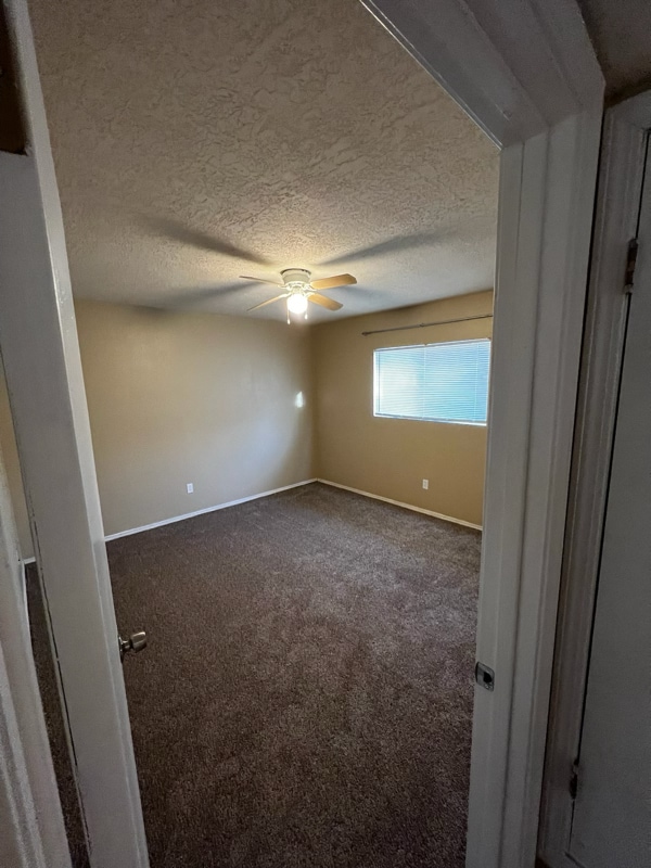 Photo - 337 Gorman Ave