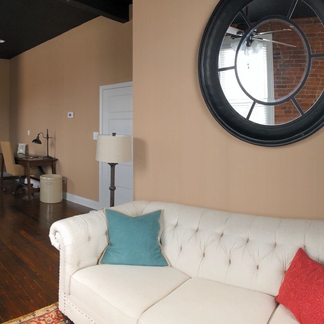 10.5 ft. Ceilings - 119 E Columbia St Unit C