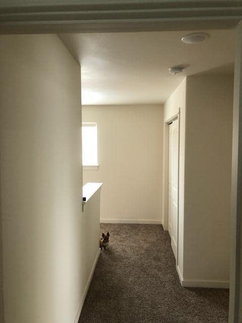 Photo - 1006 Pendulum Lane