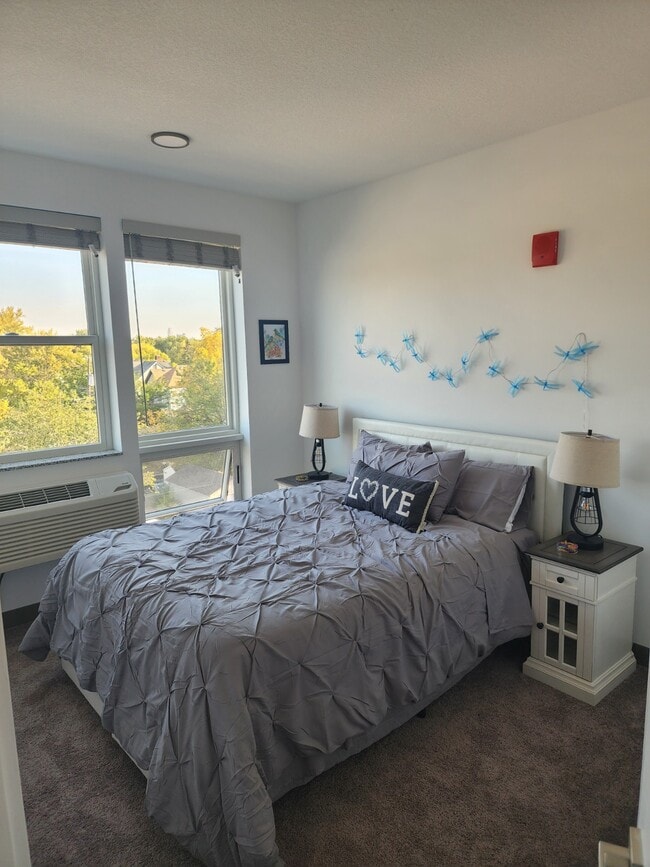 Photo - The Lily Pad