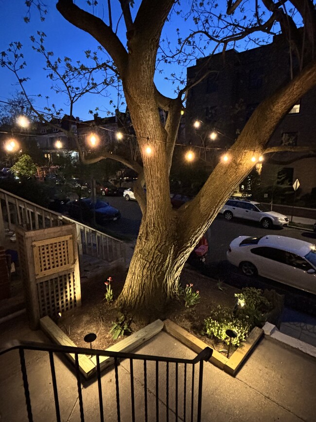 Photo - 3547 10th St NW Unit B