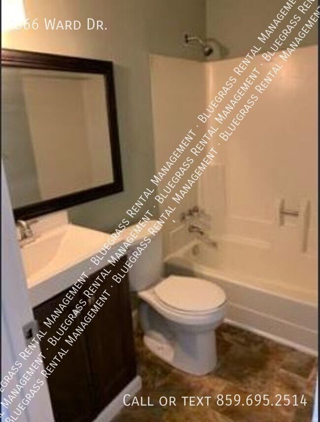 Stunning 2 bed 1 bath home in North Lexington Rental House Rental in