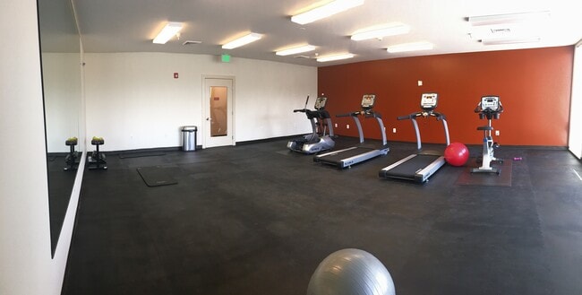 Gym - City Arts 2