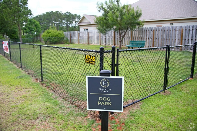 Dog Park