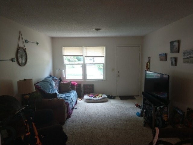 Photo - 2 Bedroom Duplex on East Side of MHK!