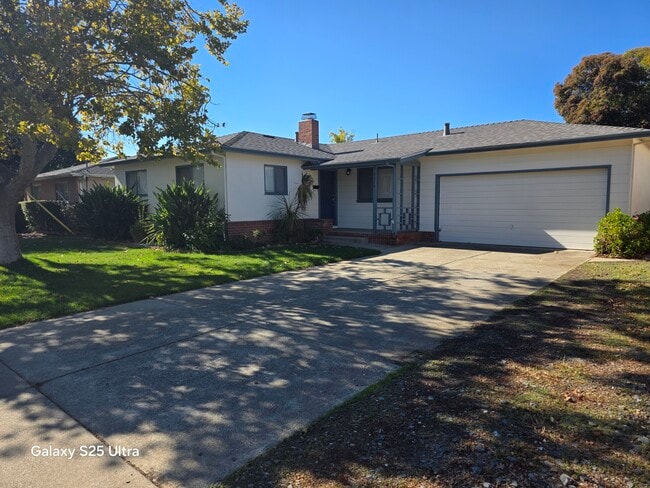 Photo - 3979 Mulberry Dr