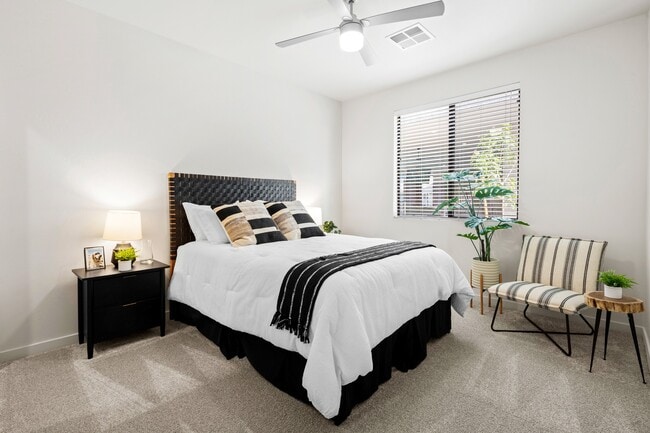 Large Bedrooms
