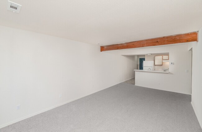 Living Area & Kitchen