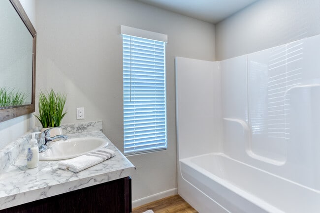 Habitación B - Baño - University Park Place