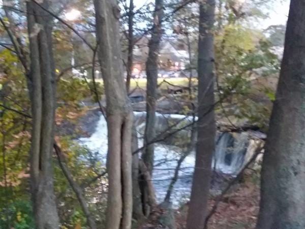 View from your apartment - 188 Colburn St Unit 188