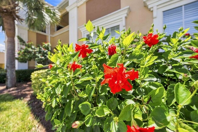 1195 Villagio Cir Unit 206