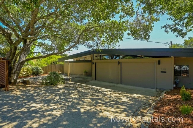 Photo - 748 Beechnut Ct House