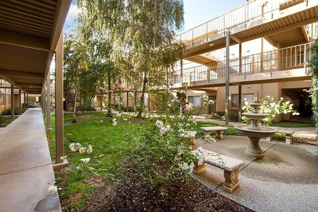 Lakeshore Apartments - Lake Views!