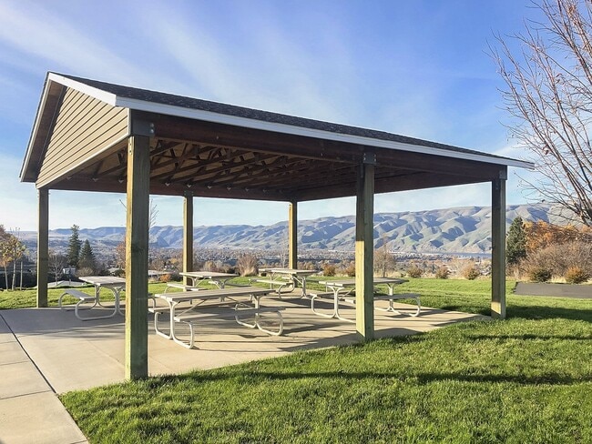 Canyon View