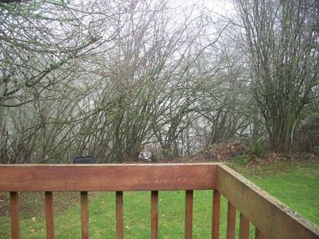 Photo - 3041 SE Timberlake Dr