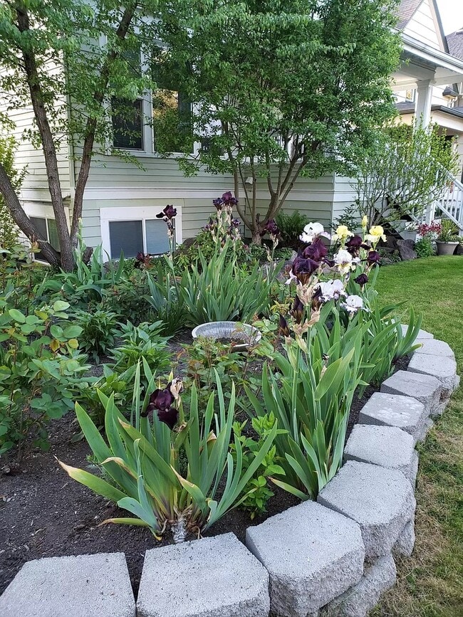 Photo - 2322 Hoyt Ave