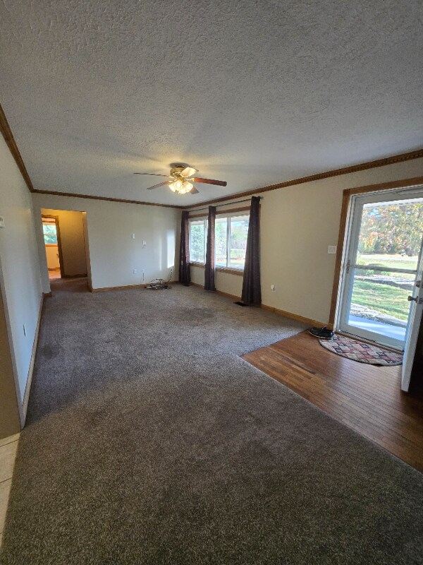 Photo - 7520 W Manson Colfax Rd