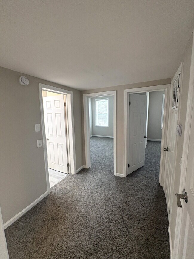Renovated 2-Bedroom Apartment in Belair-Edison