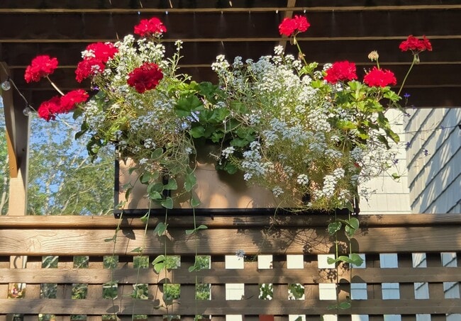 Building Photo - 10 Rudman Rd Unit First Floor