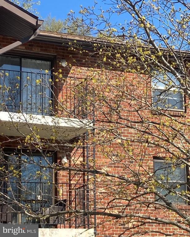 Photo - 10 Ivy Hall