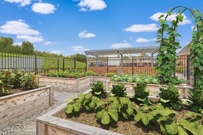 Photo - Provenza at Park Place