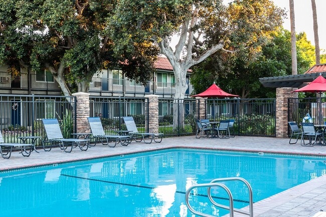 Photo - Tierra Palms Apartment Homes